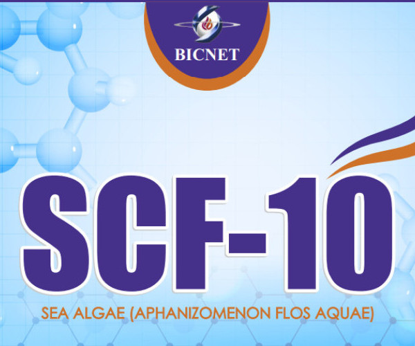 SCF-10